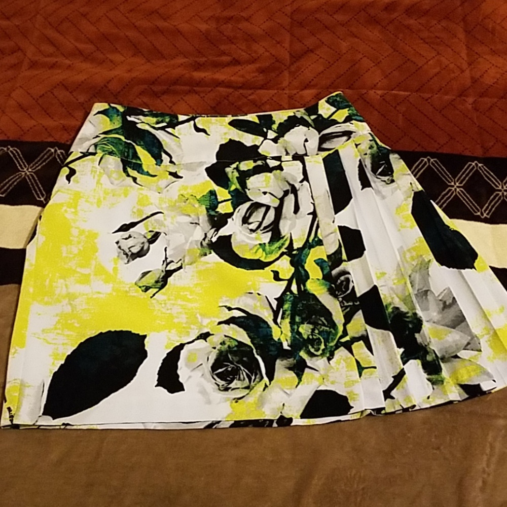 12P Worthington Skirt